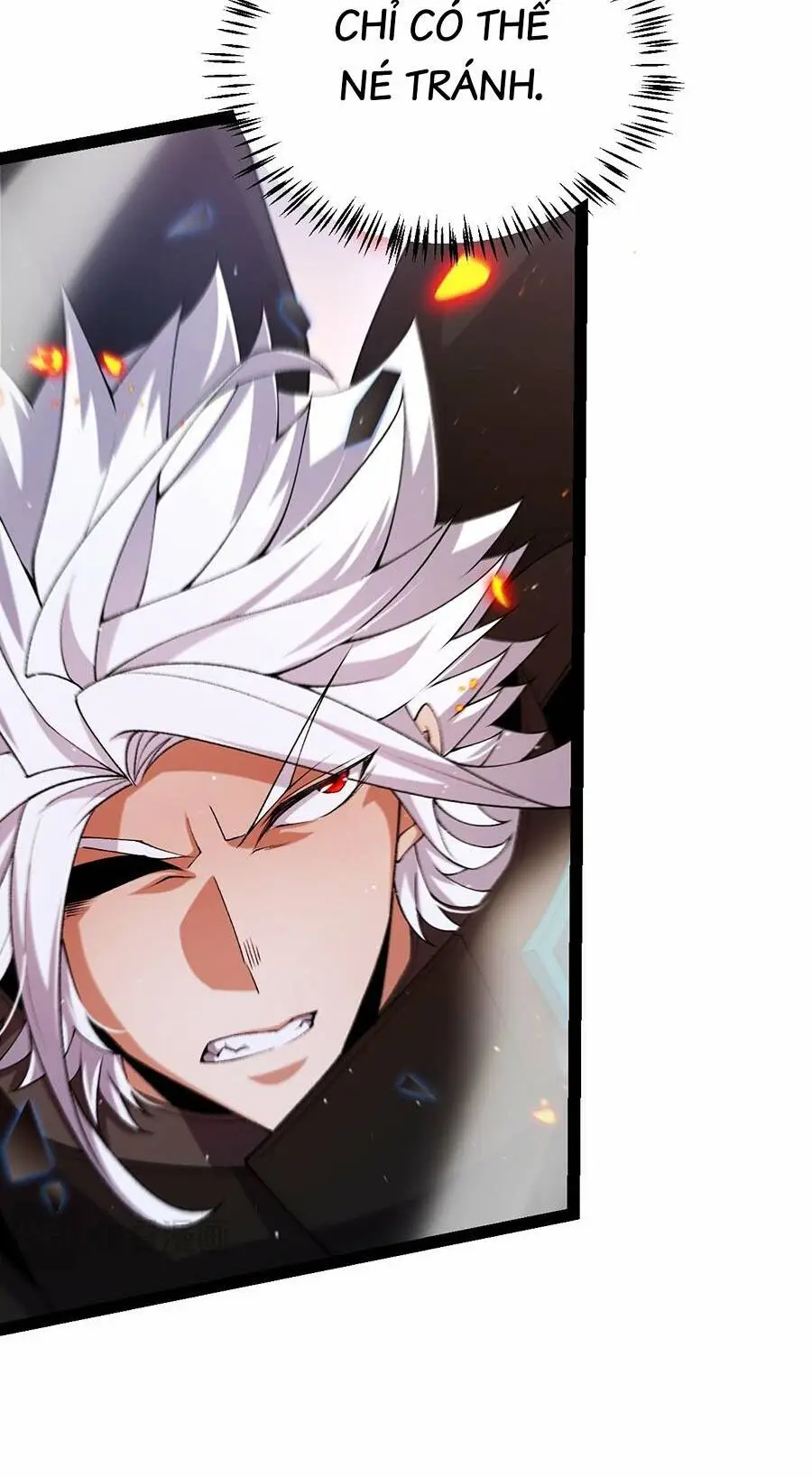 Chapter 236