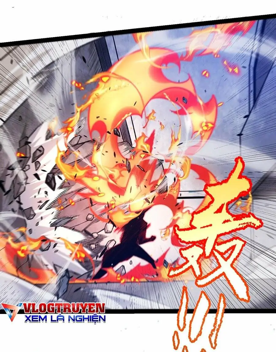 Chapter 226
