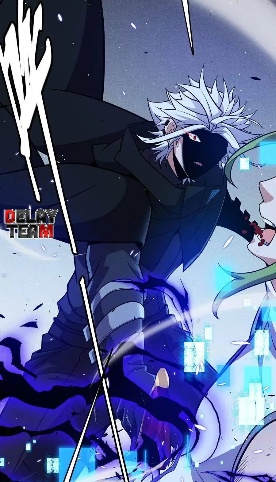 Chapter 217