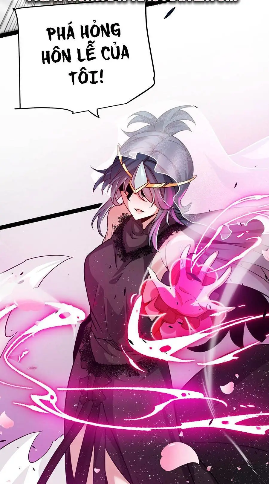 Chapter 213