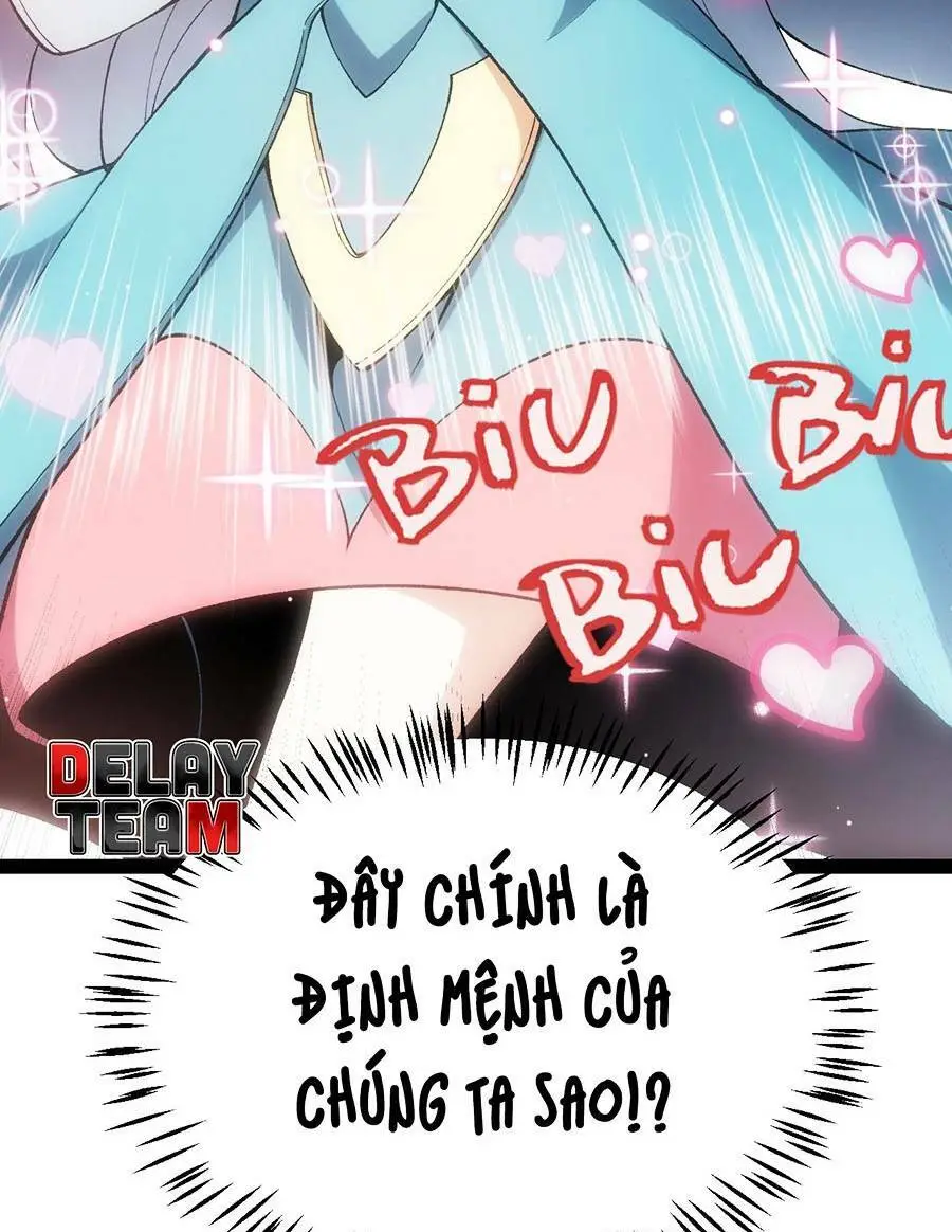 Chapter 211