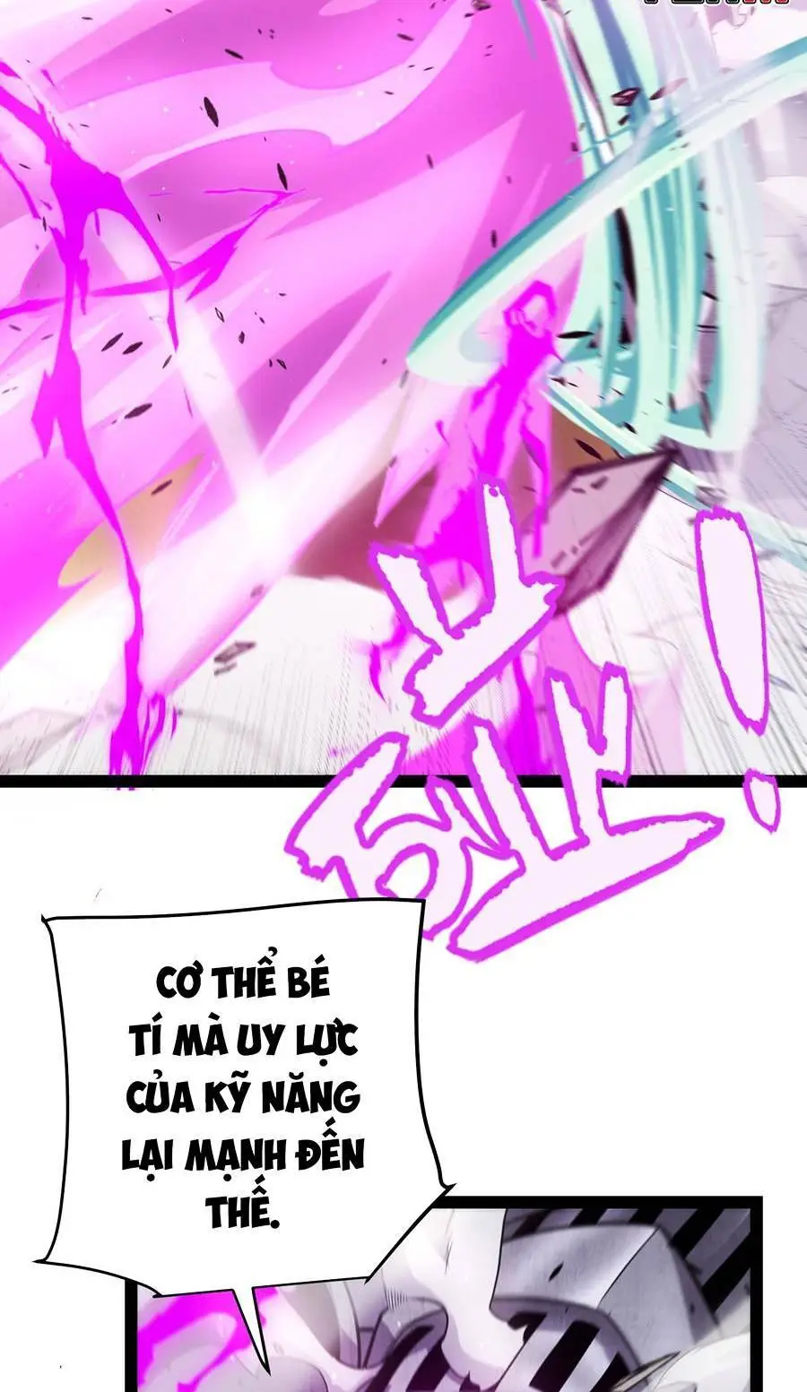 Chapter 210