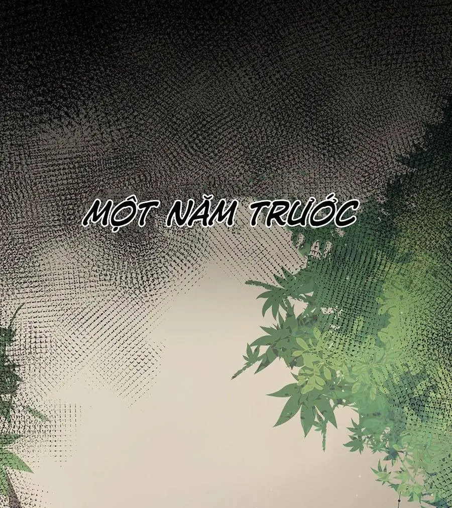 Chapter 207
