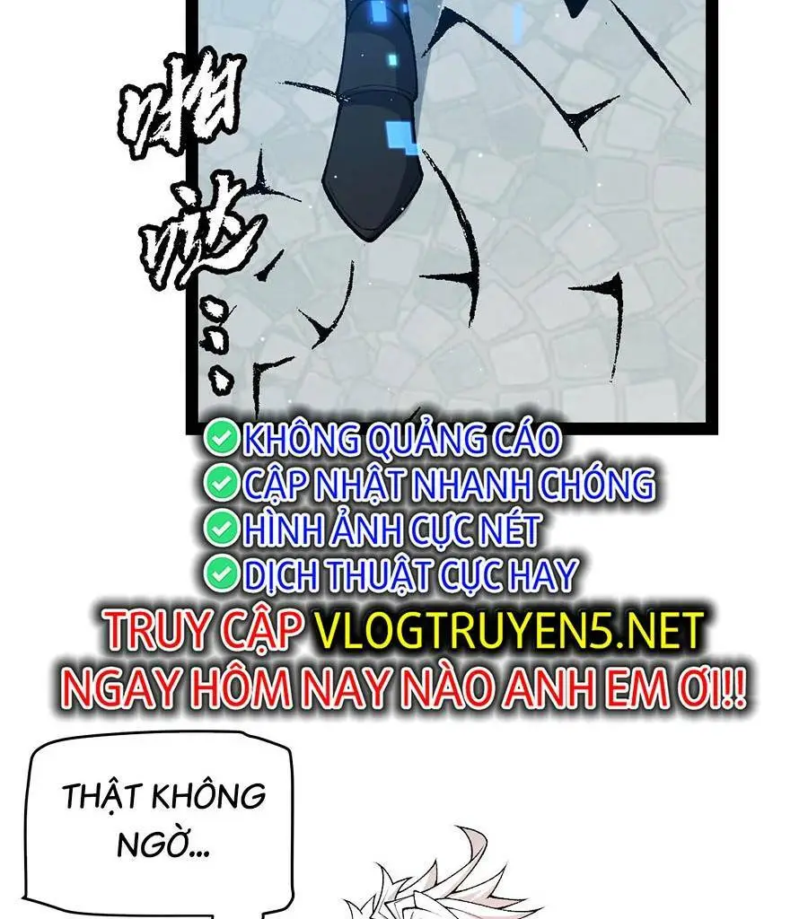Chapter 206