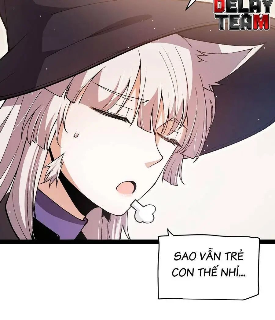 Chapter 205