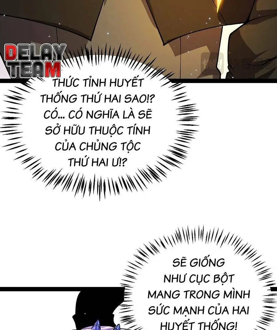 Chapter 202