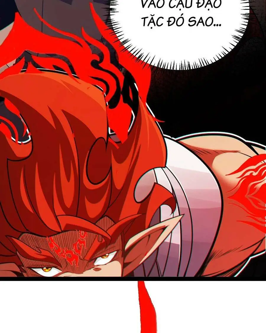 Chapter 193