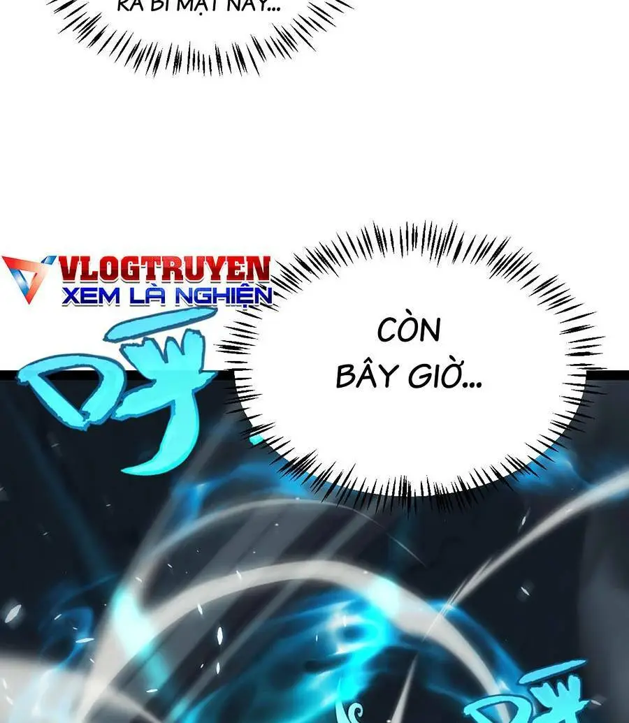 Chapter 181