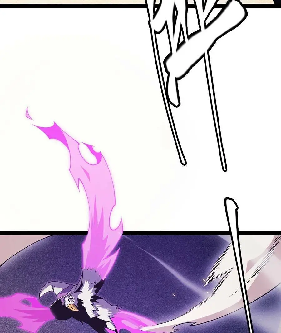 Chapter 167