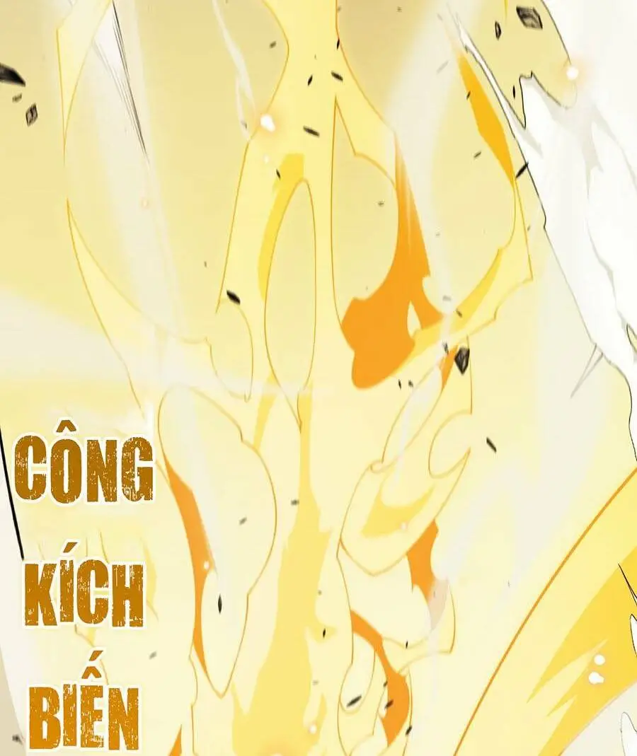 Chapter 167