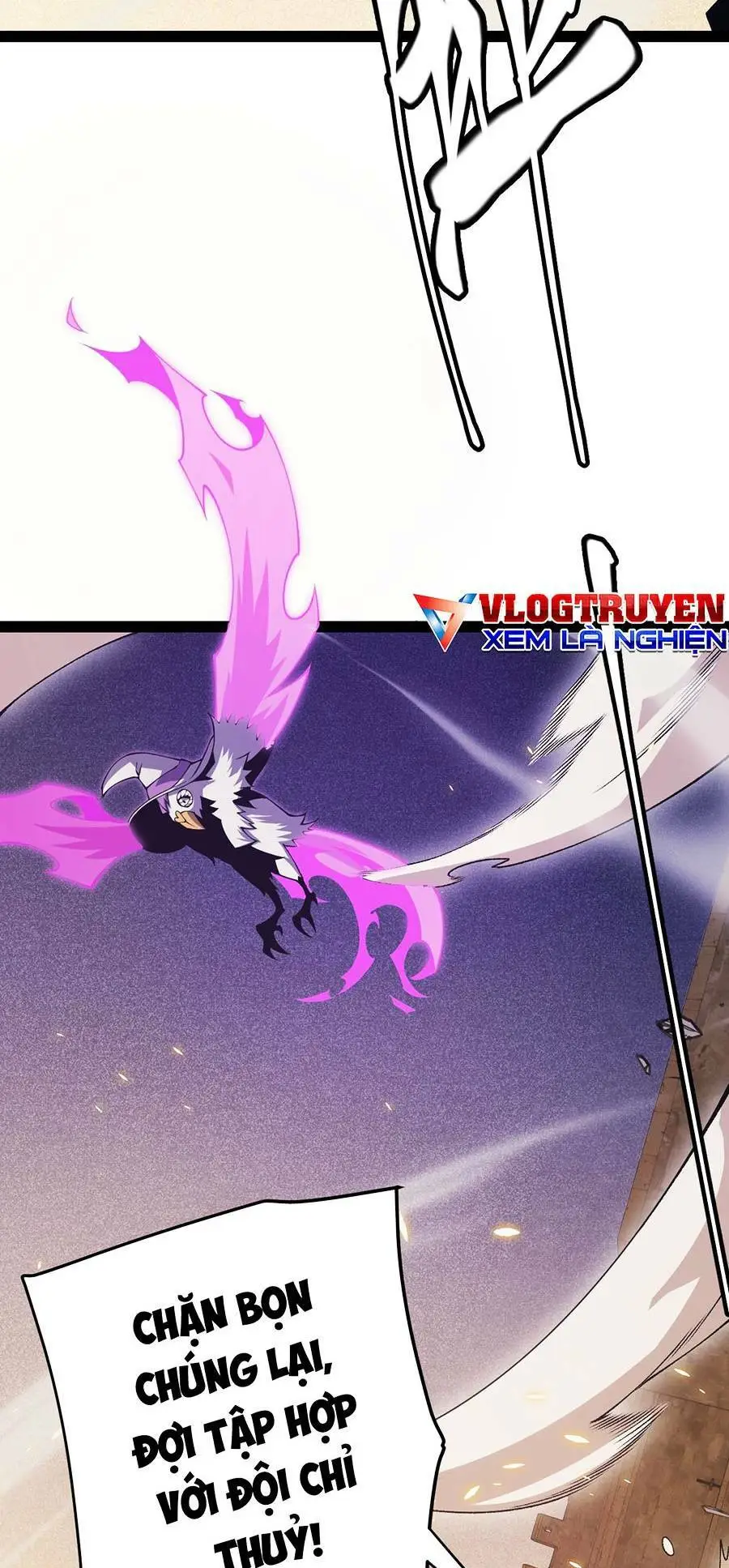 Chapter 166