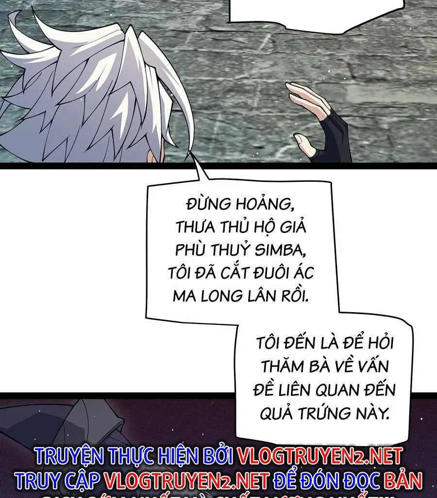 Chapter 164