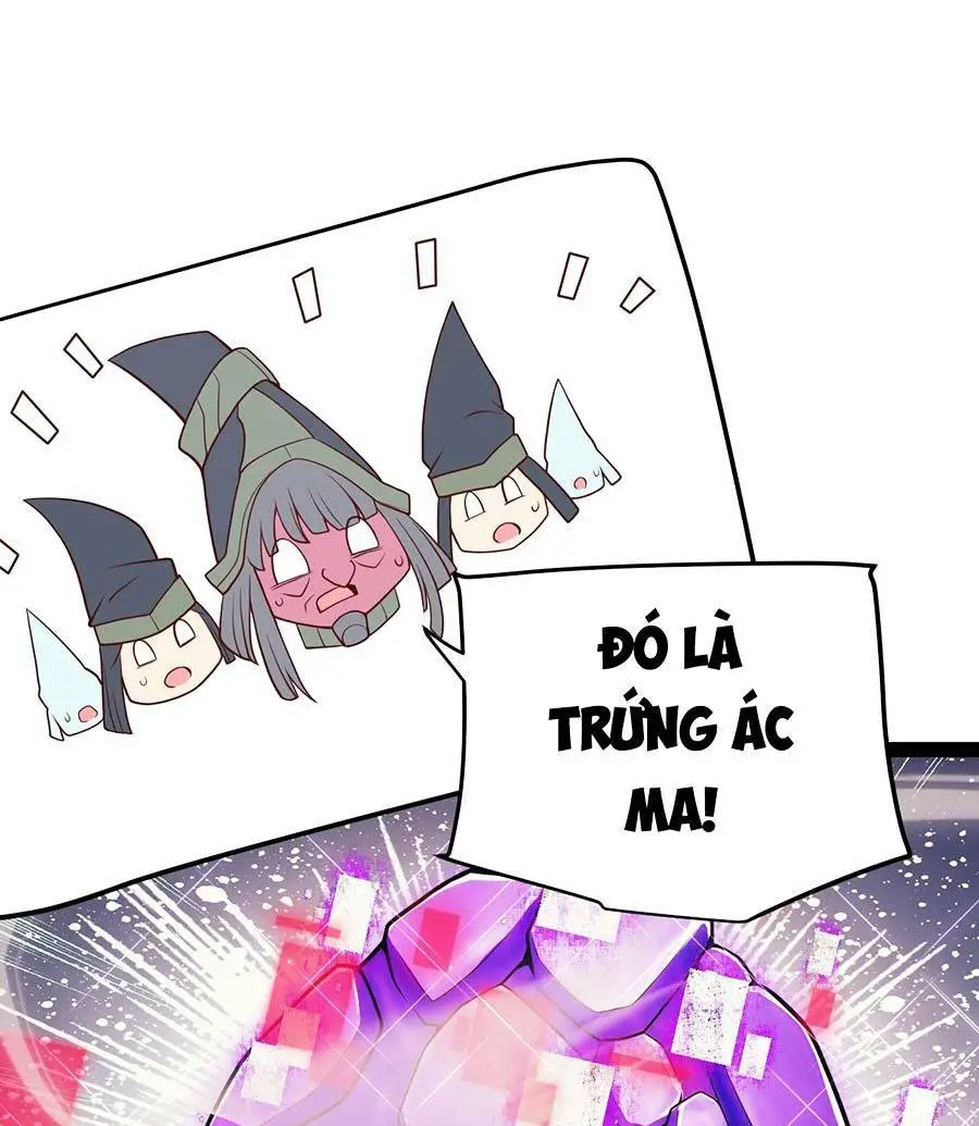 Chapter 164