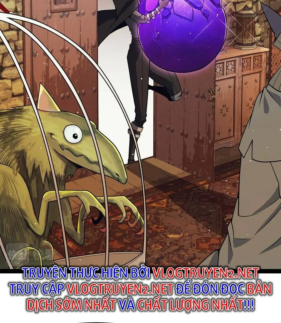 Chapter 164