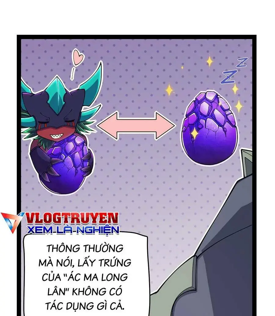 Chapter 164