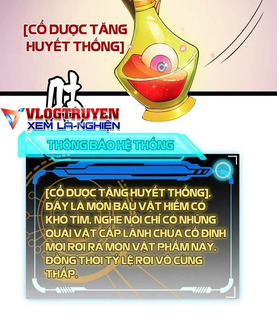 Chapter 164