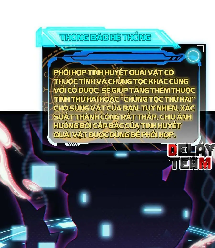 Chapter 164