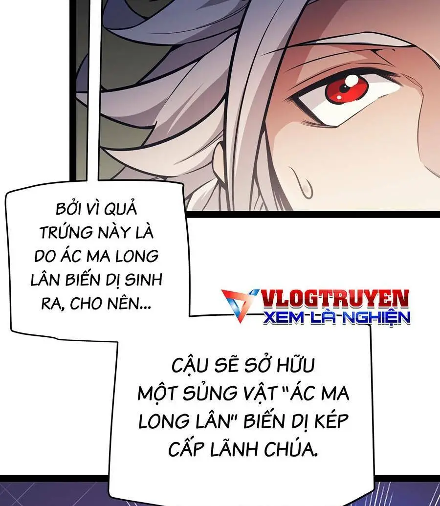 Chapter 164