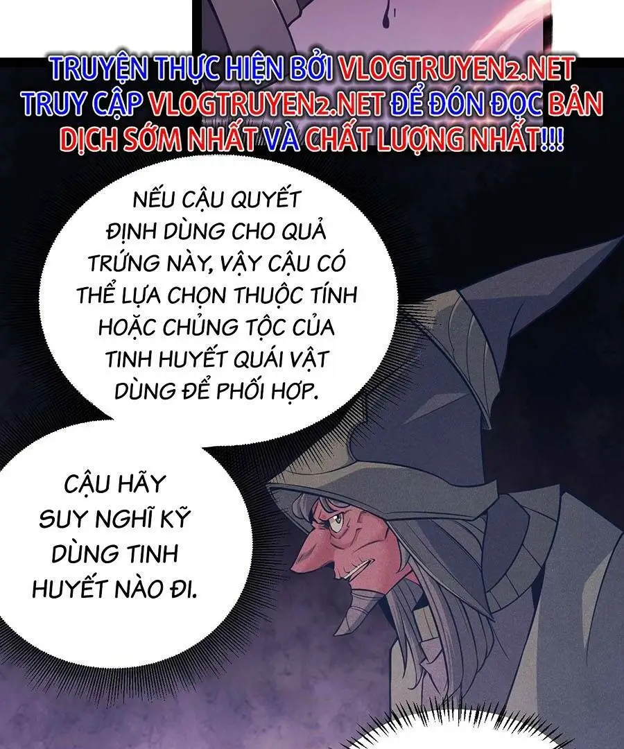 Chapter 164