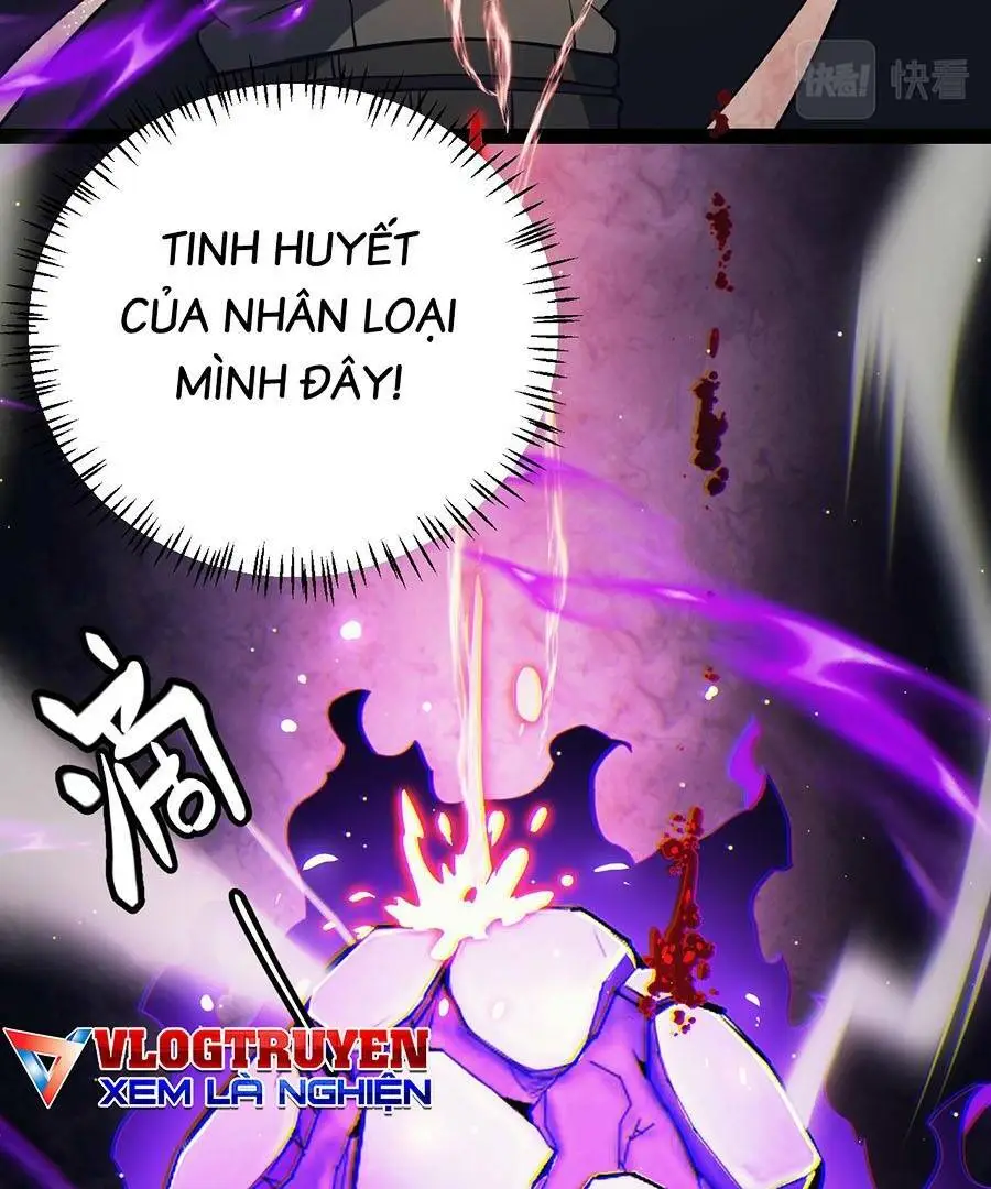 Chapter 164