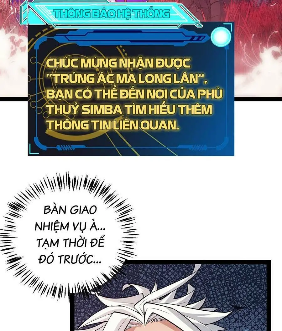 Chapter 163