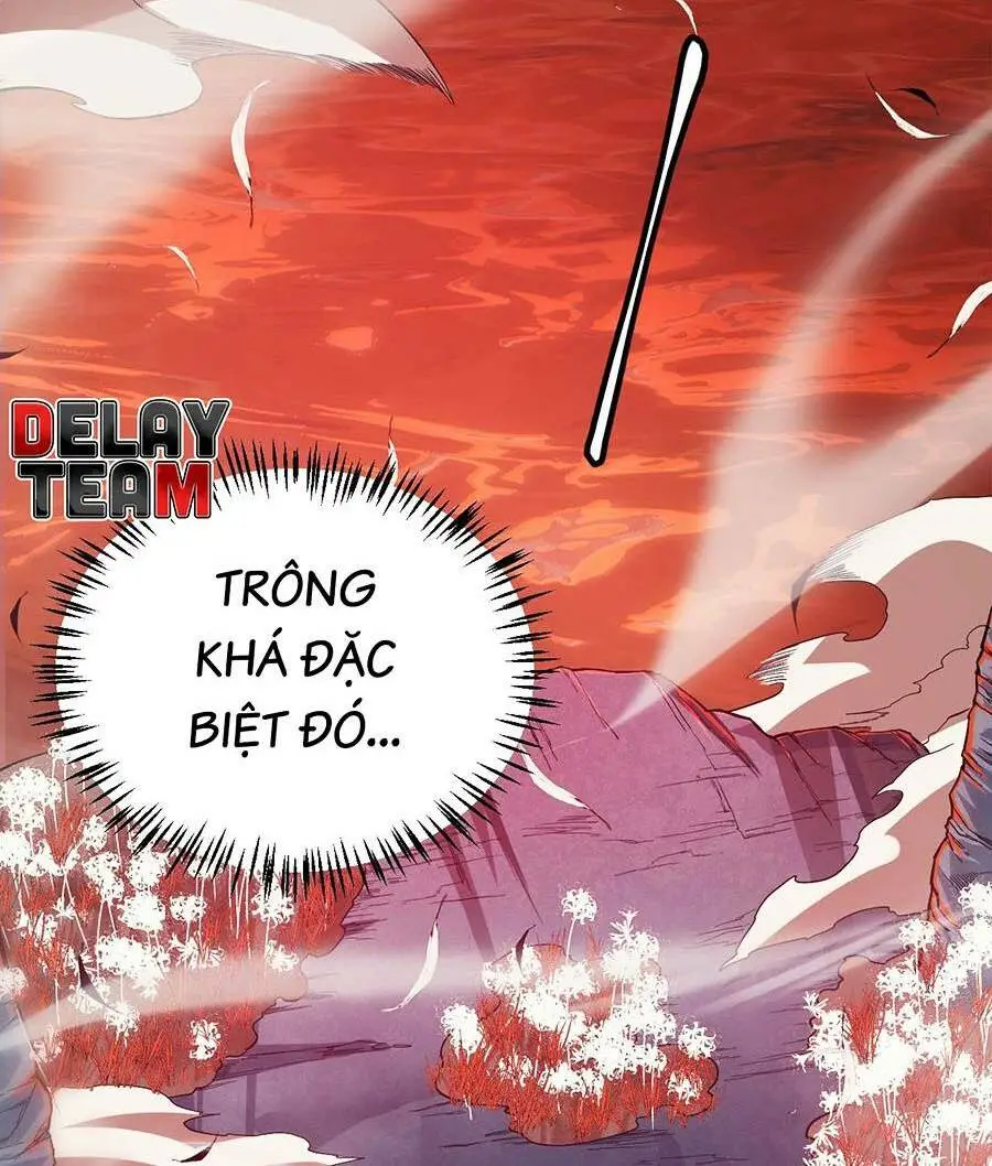 Chapter 163