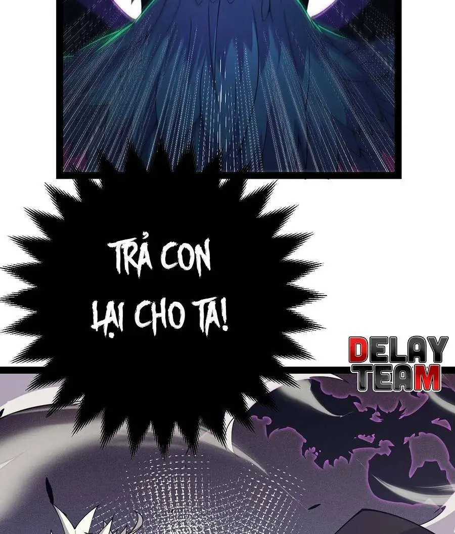 Chapter 163