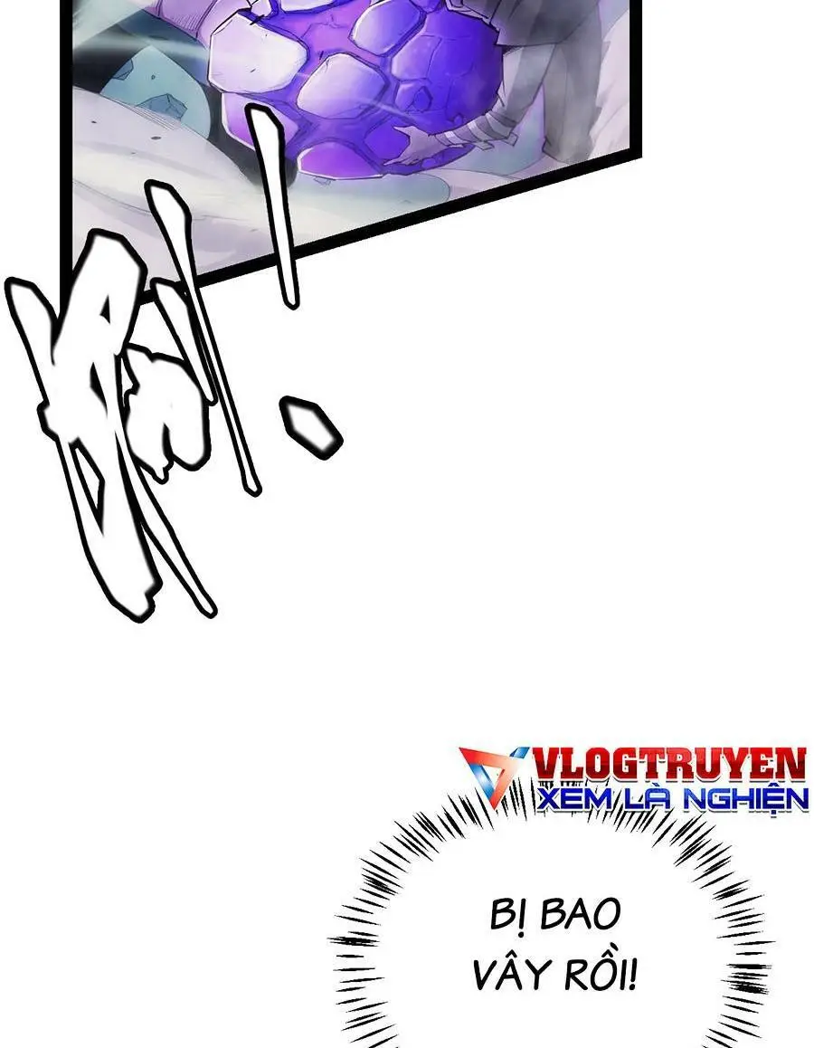 Chapter 162