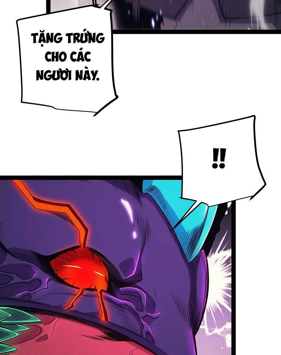 Chapter 162