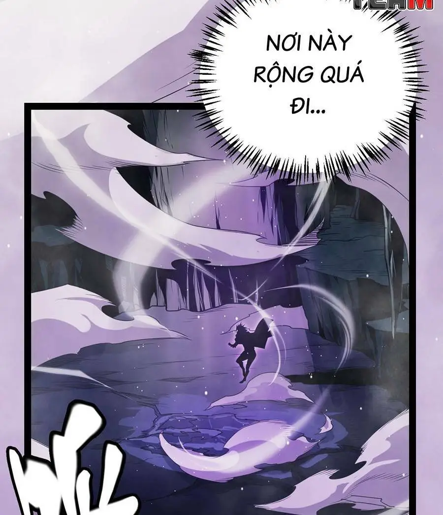 Chapter 161