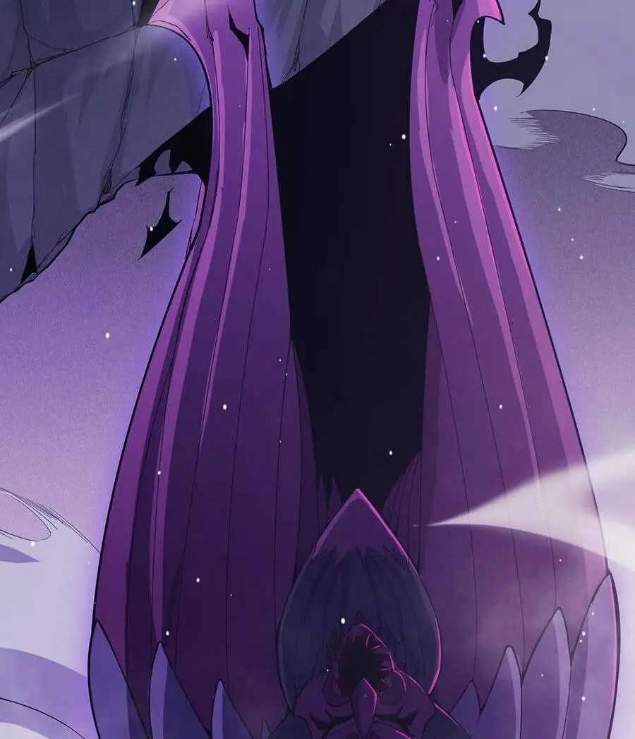 Chapter 161