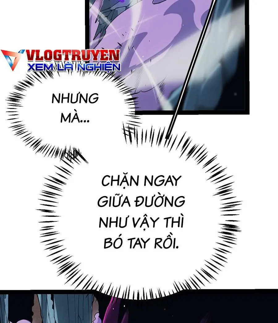 Chapter 161