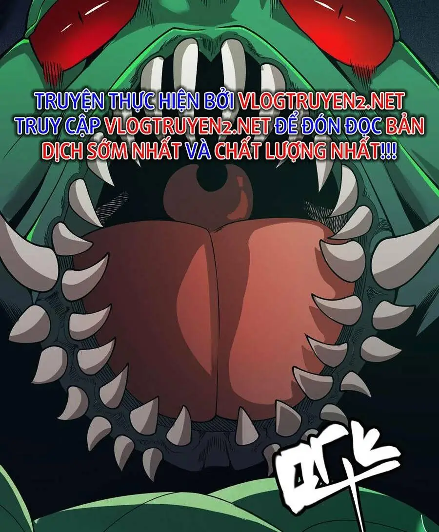 Chapter 161