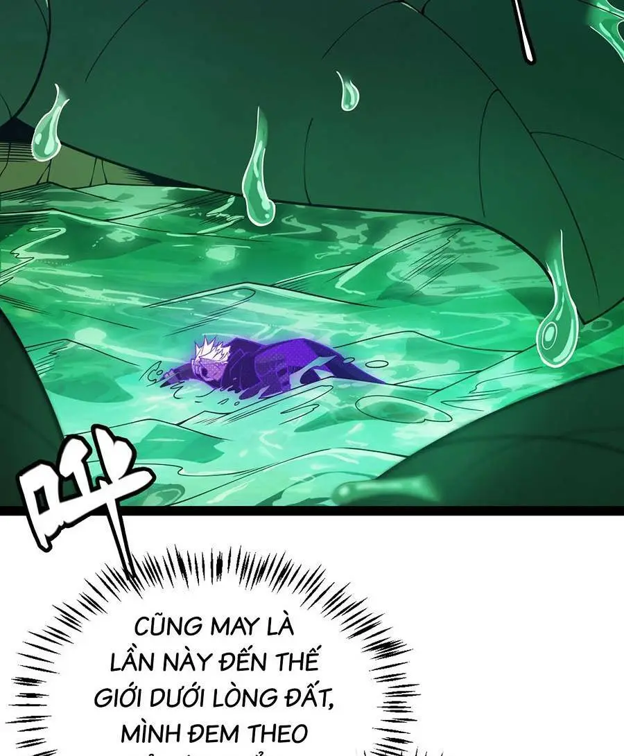 Chapter 161