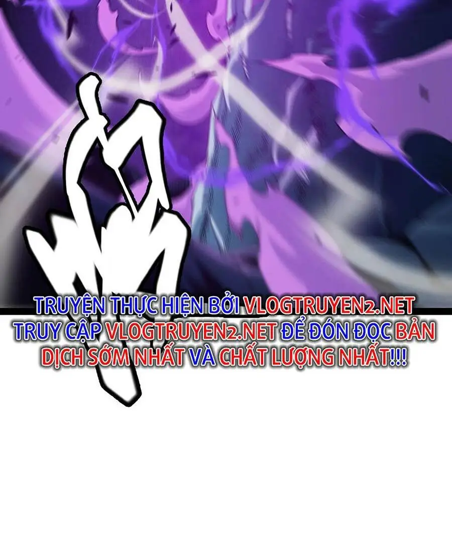 Chapter 161