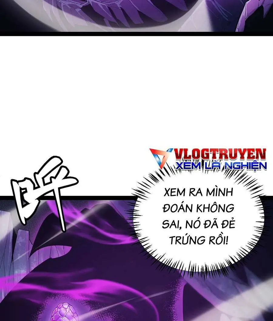 Chapter 161