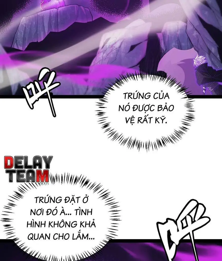 Chapter 161