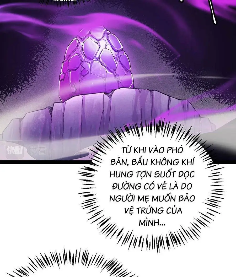 Chapter 161