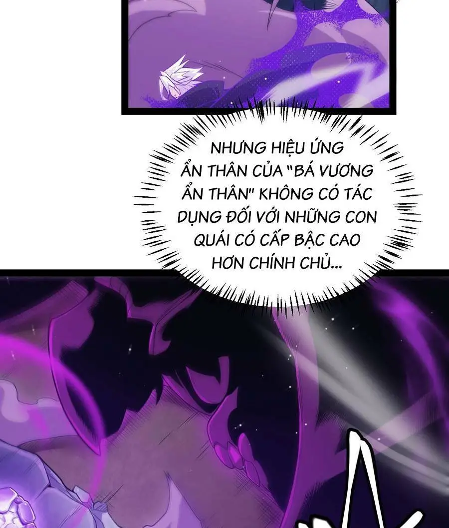 Chapter 161