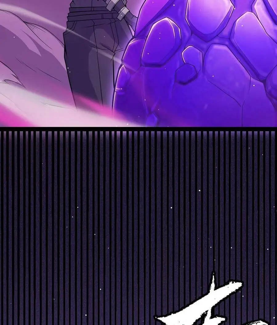 Chapter 161