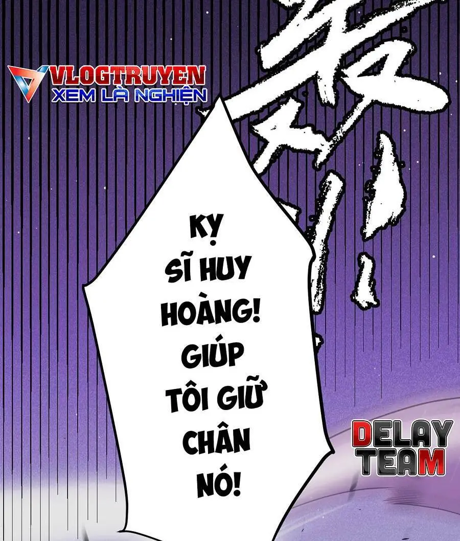 Chapter 161