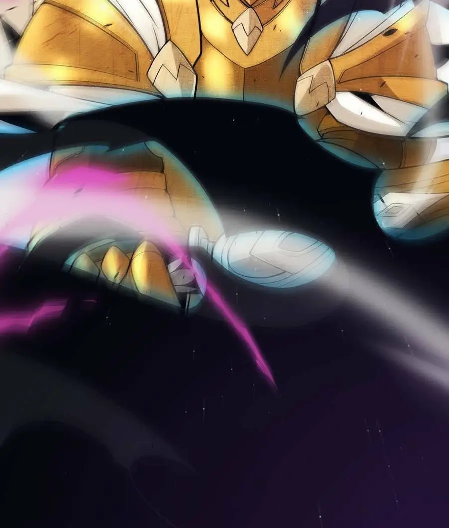 Chapter 161