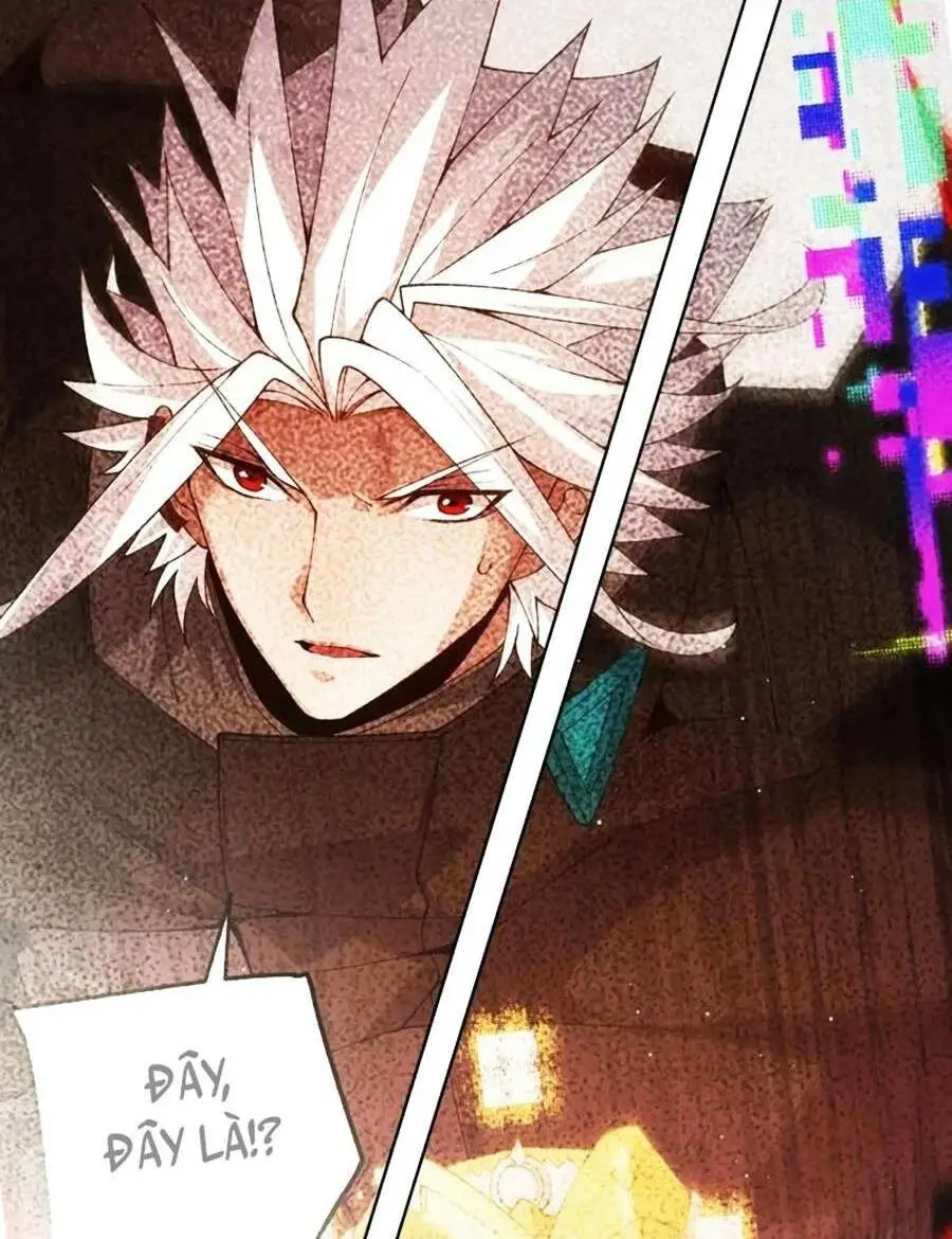 Chapter 135