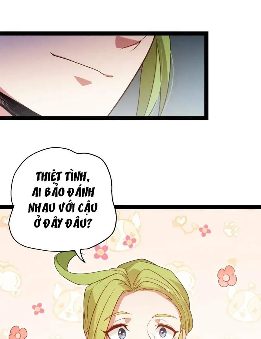 Chapter 135