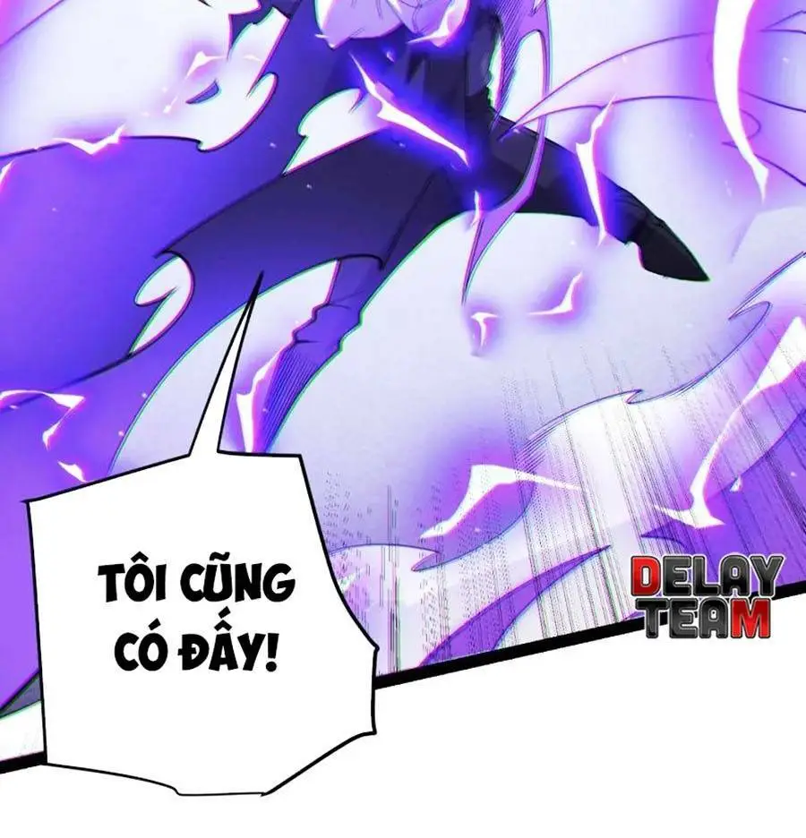 Chapter 135