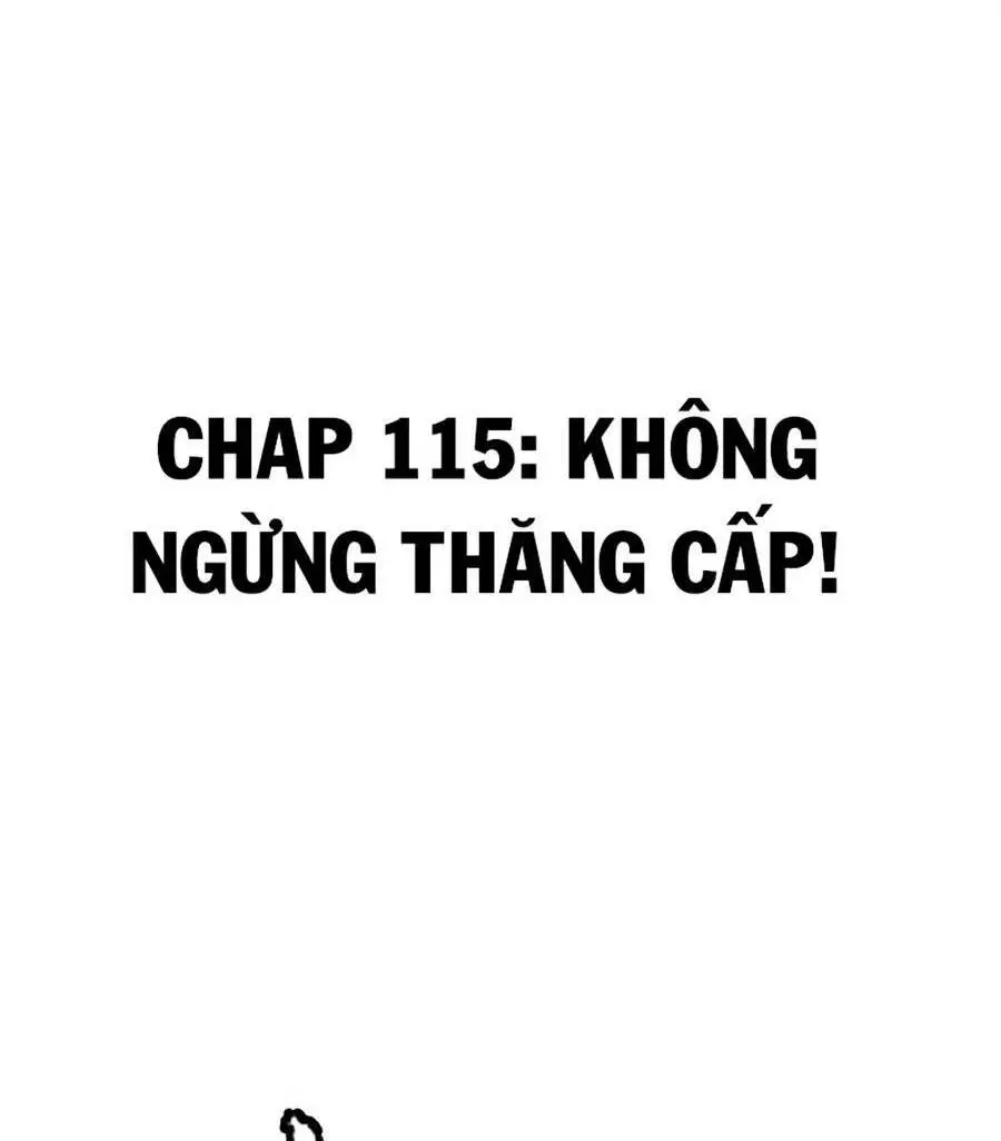 Chapter 115