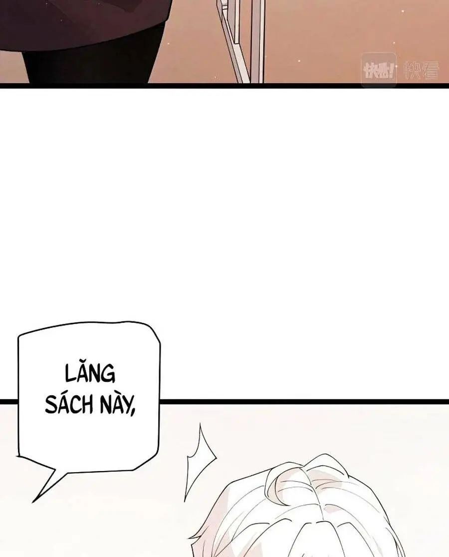 Chapter 113