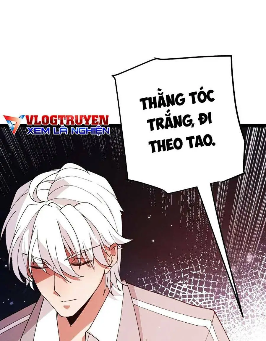Chapter 113