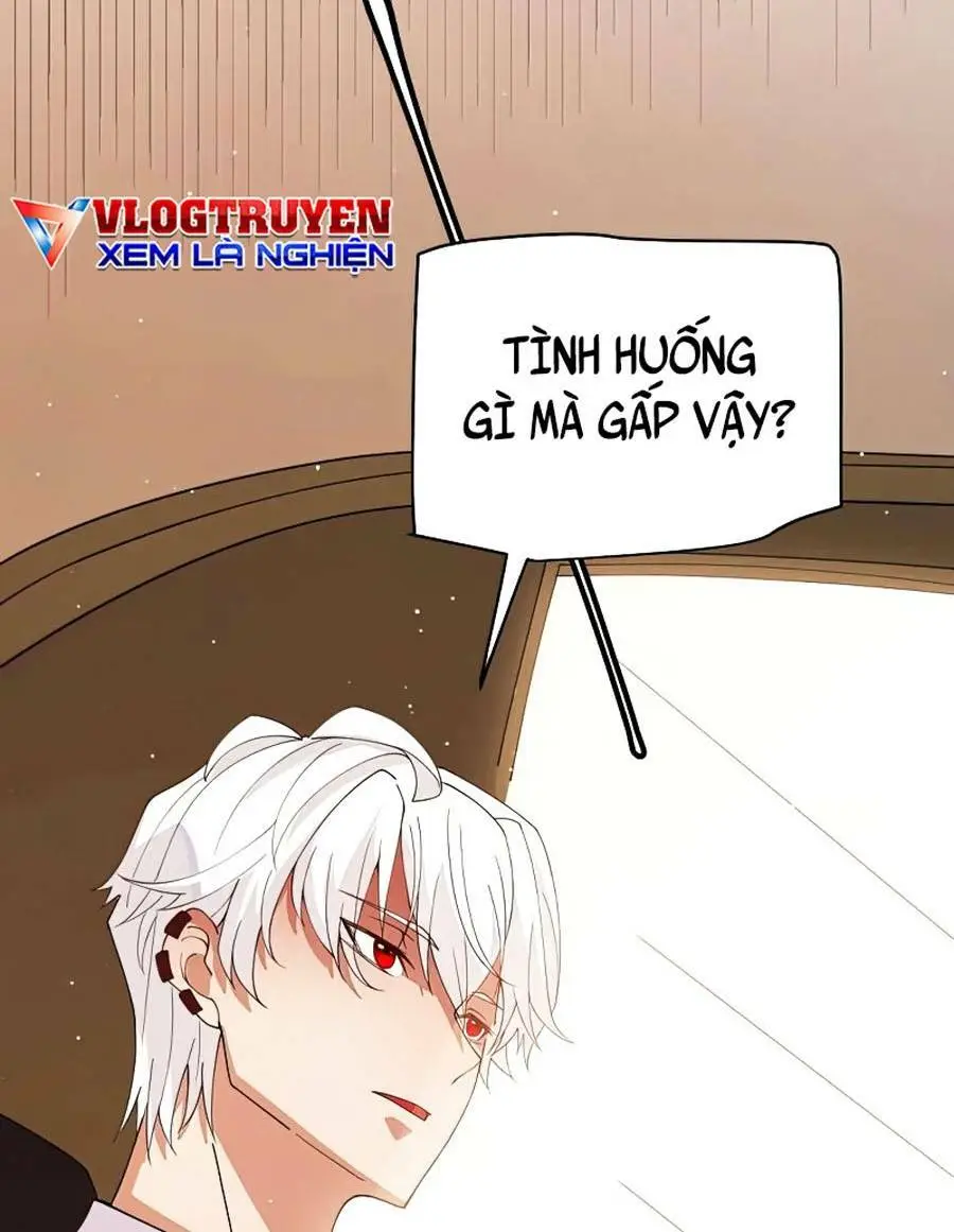 Chapter 113