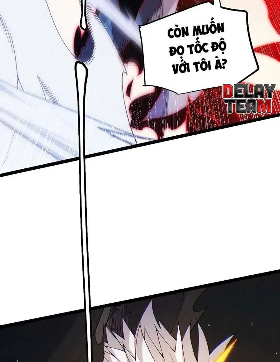 Chapter 95